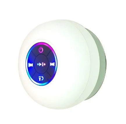 Shower & Outdoor Speaker